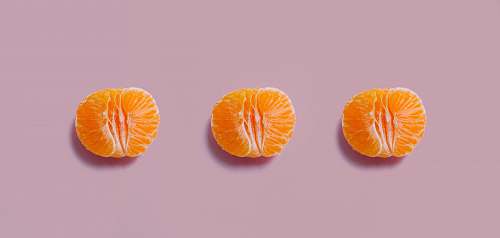 citrus fruit orange fruit plant